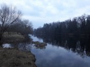 20210414_193647.jpg