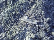 IMG_20210411_175831.jpg