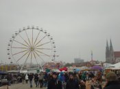DSC08399.JPG