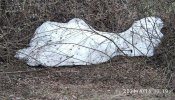 IMG_20210417_101122.jpg