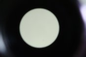 DSC06856.JPG