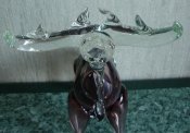 DSC04976.JPG