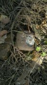 27042013237.jpg