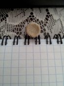 IMG_20130428_155321.jpg