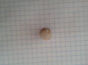 IMG_20130428_155349.jpg