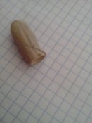 IMG_20130428_155402.jpg