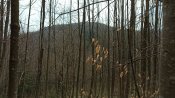 IMG_20210418_105038.jpg