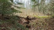 IMG_20210418_110719.jpg