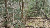 IMG_20210418_114803.jpg