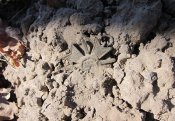 IMG_0397.JPG
