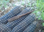 находки2013 весна (15).JPG