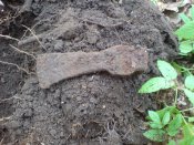 находки2013 весна.JPG