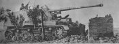 Hornisse-4.JPG