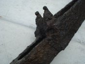 DSC00683.JPG