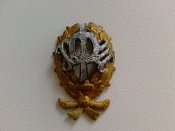 Photo-0001.jpg
