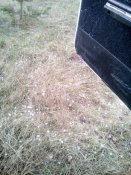 IMG_20210421_123425.jpg