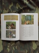 Пошук літаків Другої Світової війни в Україні, частина 2 + 9 обломков самолетов.