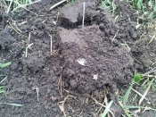 20130421_084410.jpg