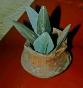 IMAG0953.jpg