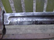 DSC04665.jpg