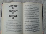 Солдаты разрушения. 004.jpg