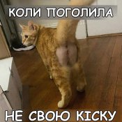 изображение_viber_2021-04-26_16-40-052.jpg