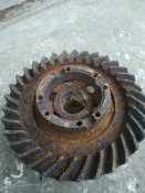 IMG_20210426_190628.jpg