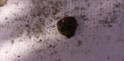IMG_20210425_164350.jpg