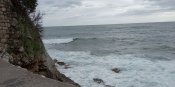 IMG_20210427_162859.jpg