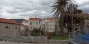 IMG_20210427_163218.jpg