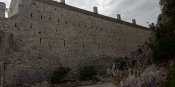 IMG_20210427_163855.jpg