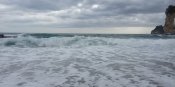 IMG_20210427_164912.jpg