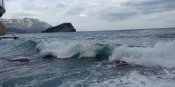 IMG_20210427_165212.jpg