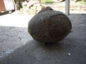 P1050944.JPG