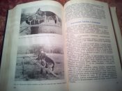 Служебное собаководство