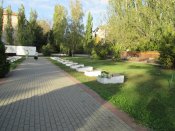IMG_6446.JPG