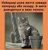 изображение_viber_2021-05-03_10-07-50.jpg