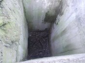 DSCN6263.JPG