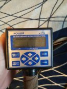 IMG_20201109_094311.jpg