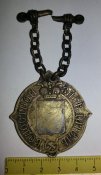 нагрудный знак РИ волостной заседатель