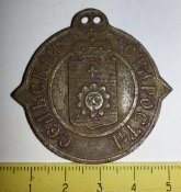 нагрудный знак РИ сельский староста