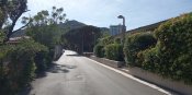 IMG_20210508_161531.jpg