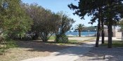 IMG_20210508_161631.jpg