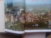 P_20210510_102903.jpg