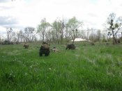 IMG_0711.JPG
