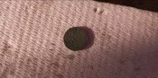 IMG_20210510_182643.jpg