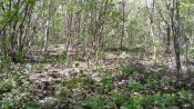IMG_20210510_140906.jpg