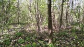 IMG_20210510_140912_1.jpg