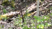 IMG_20210510_160718.jpg
