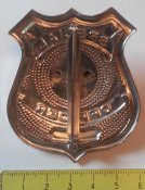 нагрудный должностной знак Special Officer